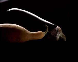 yellow and black eggplant