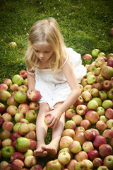 Little cute girl collects the apples scattered on a grass