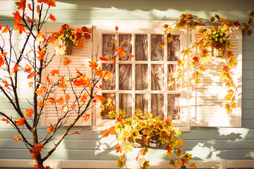 Evening patio in the autumn season. Sunset lights illuminate the maple tree with orange leaves, basket with flowers and blue colored house wall.