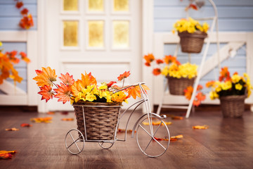 Decorative bicycle with basket with yellow leaves, flowers and autumn grapes berries on the wooden floor. Horizontal