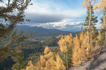 Aspen Changing near Breckenridge