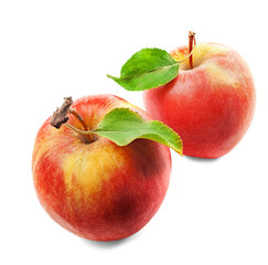 Two red apples with green leaves on white background