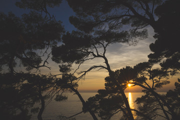 Sunset over the sea