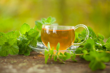 green tea in beautiful cup