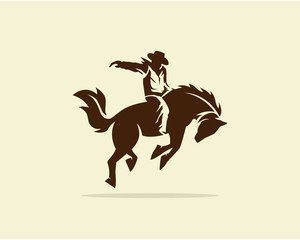 Cowboy riding wild horse - obrazy, fototapety, plakaty