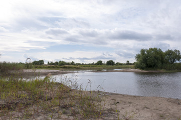 Wild River beach grassy  