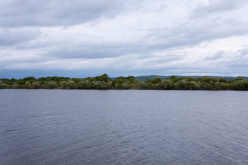 Wooded riverbank  