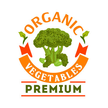 Broccoli. Organic healthy vegetables emblem