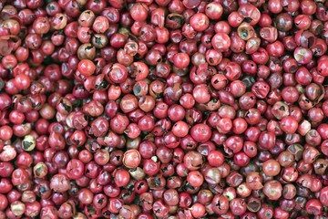 Rose pepper, spice appreciated in France and Brazil