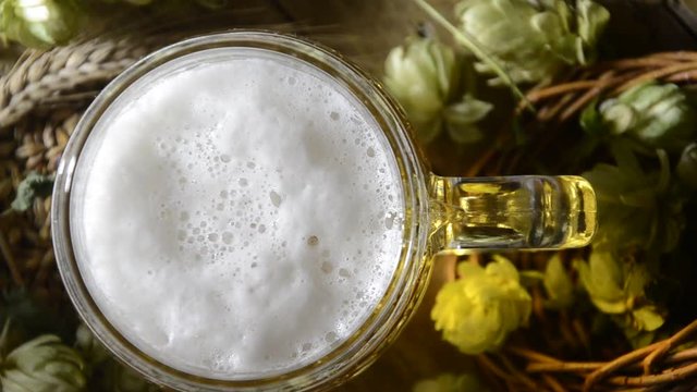 &Zeta;&upsilon;&theta;&omicron;&pi;&omicron;&iota;ί&alpha; Bruggh&uacute;s Browar מבשלה Birar&igrave;a Bryggeri Birreria Brauerei Brewery جعة Birrificio Panimo Udine ブルワリー Cervejaria Bire Bryggeri Cervecer&iacute;a Birra Cerveza Bi&egrave;re Gallicus  Bier Beer 啤酒 Pivo