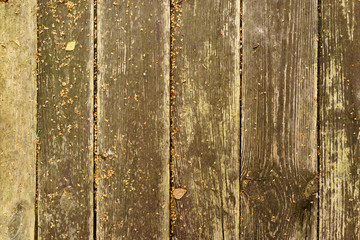 Wet boards on the floor