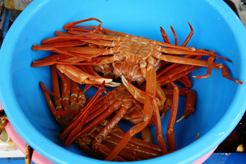 파란 그릇에 담겨있는 꽃게들