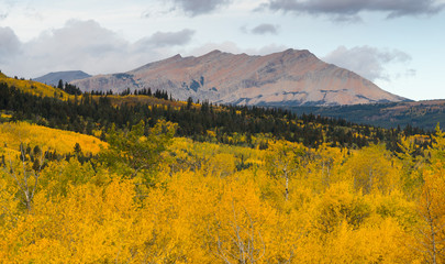 Fall Color Many Glacier East Side National Park Montana