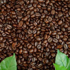 roasted coffee beans, can be used as a background