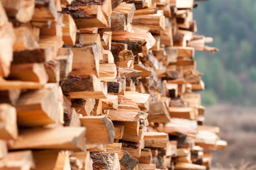 Stack of firewood in a remote village in Bhutan