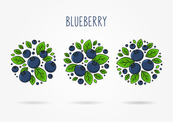 Blueberry line art vector illustration. Blueberry round labels creative concept. Graphic design for poster, banner, placard. Template layout with text and berries.
