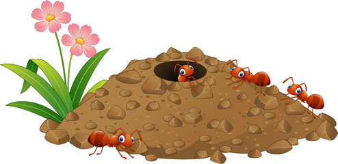 Cartoon ants colony and ant hill- 121771231