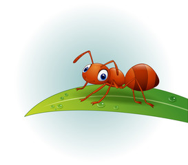 Cartoon ant on the leaf

