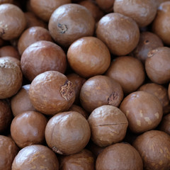 Macadamia nut background