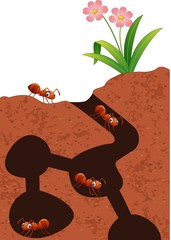 Cartoon ants colony

