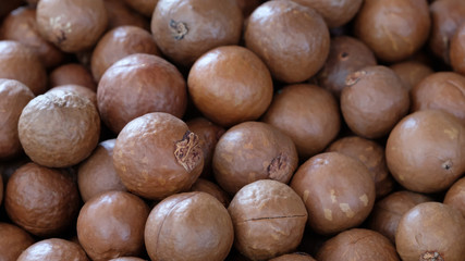 Macadamia nut background