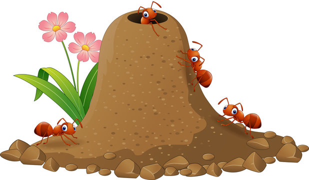 Cartoon ants colony and ant hill


