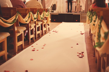 Seats for guests on wedding ceremony
