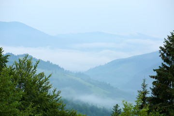 Fototapeta na wymiar Carpathian mountains in summer
