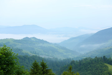 Carpathian mountains in summer