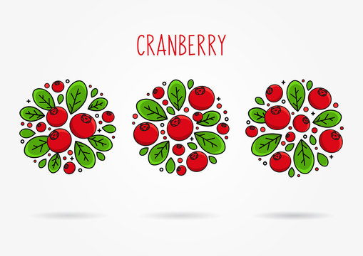 Cranberry Line Art Vector Illustration. Cranberry Round Labels Creative Concept. Graphic Design For Poster, Banner, Placard. Template Layout With Text And Berries.
