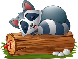 Cartoon raccoon sleeping on the tree log     © ekyaky