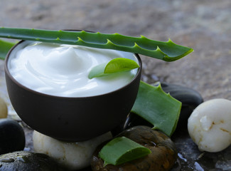 cosmetic cream lotion with aloe vera