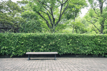 Scenery with the bench / hedge of the promenade