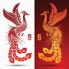 Chinese phoenix vector