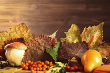 Naklejka na ściany i meble Autumn composition of leaves, berries and squashes on blurred wooden background. Thanksgiving day concept