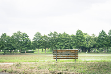 Scenery with the bench / Mizumoto Park