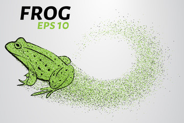 Frog of particles. The frog consists of small circles. Vector illustration
