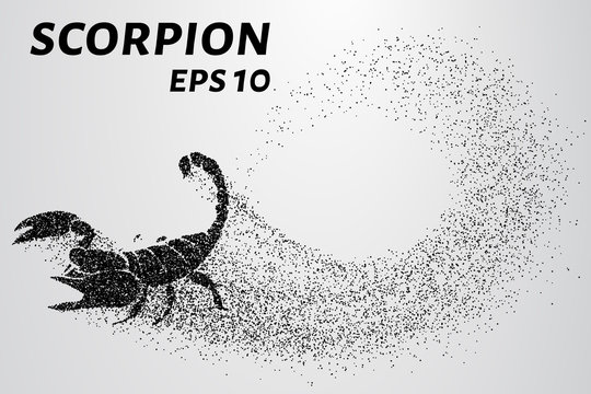 Scorpion of the particles. Scorpion consists of small circles. Vector illustration
