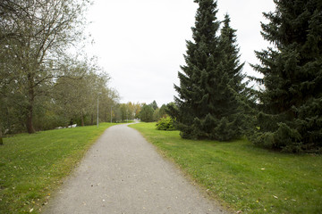 Fototapeta na wymiar Curvy path in the park on a cloudy day.