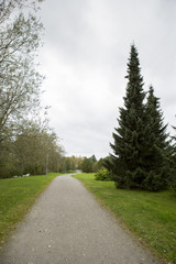 Curvy path in the park on a cloudy day.