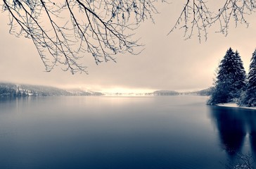 Snowy winter landscape on lake shore on a foggy day, with gray sky. Black and white image filtered in nostalgic retro, vintage style with soft focus, red filter and some noise. Lake Bohinj, Slovenia. - 121774429