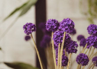 Purple flowers vintage tone 