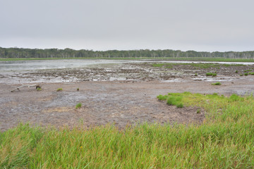 野付半島のナラワラ