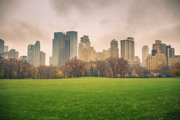 Fototapeta na wymiar Central park at rainy day, New York City, USA