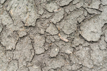 Crack dry soil