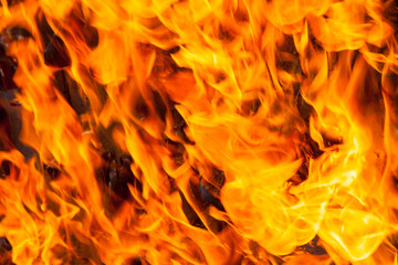 blaze fire.  flame texture.  background. hot