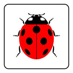 Ladybug small icon. Red lady bug sign, isolated on white background. Wildlife animal design. Cute colorful ladybird. Insect cartoon beetle. Symbol of nature, spring, summer. Vector illustration