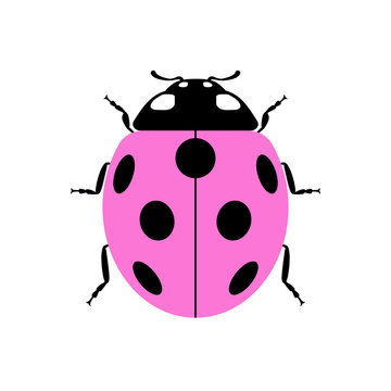 Ladybug small icon. Pink lady bug sign, isolated on white background. Wildlife animal design. Cute colorful ladybird. Insect cartoon beetle. Symbol of nature, spring or summer. Vector illustration