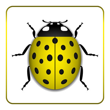 Ladybug small icon. Yellow lady bug sign, isolated on white background. 3d volume design. Cute colorful ladybird. Insect cartoon beetle. Symbol of nature, spring or summer. Vector illustration