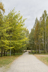 A day at the park on an autumn day.